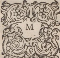 An illustration from Admiranda narratio, fida tamen, de commodis et incolarvm ritibvs Virginiae ... Anglico scripta sermone à Thoma Hariot ... nvnc avtem primvm Latio donata à C.C.A (1608)