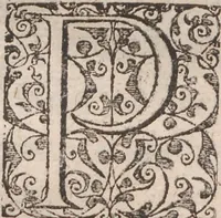 An illustration from Admiranda narratio, fida tamen, de commodis et incolarvm ritibvs Virginiae ... Anglico scripta sermone à Thoma Hariot ... nvnc avtem primvm Latio donata à C.C.A (1608)