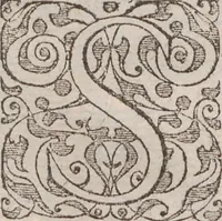 An illustration from Admiranda narratio, fida tamen, de commodis et incolarvm ritibvs Virginiae ... Anglico scripta sermone à Thoma Hariot ... nvnc avtem primvm Latio donata à C.C.A (1608)
