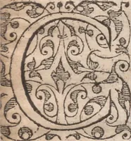 An illustration from Admiranda narratio, fida tamen, de commodis et incolarvm ritibvs Virginiae ... Anglico scripta sermone à Thoma Hariot ... nvnc avtem primvm Latio donata à C.C.A (1608)