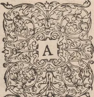 An illustration from Admiranda narratio, fida tamen, de commodis et incolarvm ritibvs Virginiae ... Anglico scripta sermone à Thoma Hariot ... nvnc avtem primvm Latio donata à C.C.A (1608)