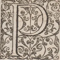 An illustration from Admiranda narratio, fida tamen, de commodis et incolarvm ritibvs Virginiae ... Anglico scripta sermone à Thoma Hariot ... nvnc avtem primvm Latio donata à C.C.A (1608)