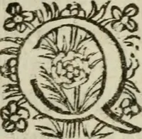 An illustration from Adolescens academicus sub institutione Salomonis (1633)