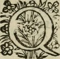 An illustration from Adolescens academicus sub institutione Salomonis (1633)