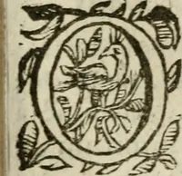 An illustration from Adolescens academicus sub institutione Salomonis (1633)