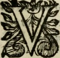 An illustration from Adolescens academicus sub institutione Salomonis (1633)