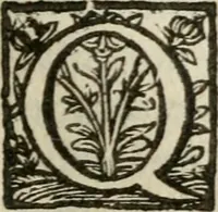 An illustration from Adolescens academicus sub institutione Salomonis (1633)
