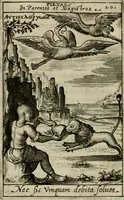 Picture 45 of 49 from Adolescens academicus sub institutione Salomonis (1633), leaf 591