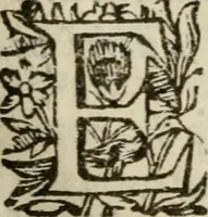 Picture 49 of 49 from Adolescens academicus sub institutione Salomonis (1633), leaf 630