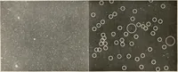An illustration from The Adolfo Stahl lectures in astronomy, delivered in San Francisco, California, in 1916-17 and 1917-18, under the auspices of the Astronomical Society of the Pacific (1919)