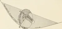 An illustration from The Adolfo Stahl lectures in astronomy, delivered in San Francisco, California, in 1916-17 and 1917-18, under the auspices of the Astronomical Society of the Pacific (1919)