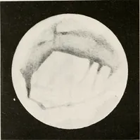 An illustration from The Adolfo Stahl lectures in astronomy, delivered in San Francisco, California, in 1916-17 and 1917-18, under the auspices of the Astronomical Society of the Pacific (1919)