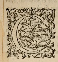 An illustration from Adonis Viennensis ... Breuiarium chronicorum ab origine mundi ad sua vsque tempora, id est ad regnum Ludouici Francorum regis cognomento Simplicis, an. Domini dccclxxx (1561)