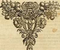 An illustration from Adriani Heereboord ... Meletemata philosophica : in quibus, pleræque res metaphysicæ ventilantur .. (1665)