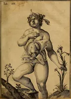 Picture 9 of 19 from Adriani Spigelii Brvxellensis Eqvitis D. Marci ... De formato foetv : liber singularis Æneis figvris exornatvs, epistolæ dvæ anatomicæ, tractatvs de arthritide : opera posthvma studio Liberalis Cremae tarvisini philosoph. & medicinæ doctoris edita (1631), leaf 56
