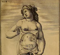 Picture 10 of 19 from Adriani Spigelii Brvxellensis Eqvitis D. Marci ... De formato foetv : liber singularis Æneis figvris exornatvs, epistolæ dvæ anatomicæ, tractatvs de arthritide : opera posthvma studio Liberalis Cremae tarvisini philosoph. & medicinæ doctoris edita (1631), leaf 58