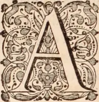 Picture 50 of 293 from Adriani Spigelii Bruxellensis (1645), leaf 115