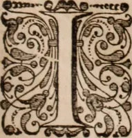 An illustration from Adriani Spigelii Bruxellensis (1645)