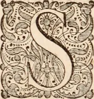 Picture 52 of 293 from Adriani Spigelii Bruxellensis (1645), leaf 133
