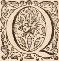 Picture 59 of 293 from Adriani Spigelii Bruxellensis (1645), leaf 151