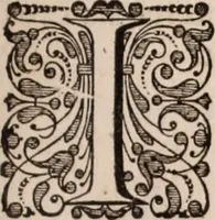 Picture 62 of 293 from Adriani Spigelii Bruxellensis (1645), leaf 158