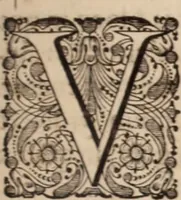 Picture 72 of 293 from Adriani Spigelii Bruxellensis (1645), leaf 184
