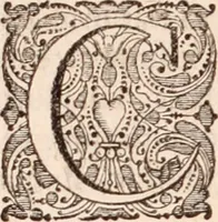 Picture 75 of 293 from Adriani Spigelii Bruxellensis (1645), leaf 191