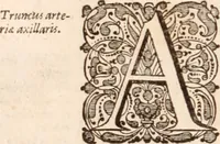 Picture 81 of 293 from Adriani Spigelii Bruxellensis (1645), leaf 203