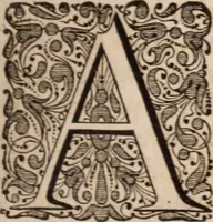 Picture 89 of 293 from Adriani Spigelii Bruxellensis (1645), leaf 224