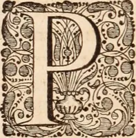 Picture 93 of 293 from Adriani Spigelii Bruxellensis (1645), leaf 237