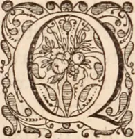 Picture 99 of 293 from Adriani Spigelii Bruxellensis (1645), leaf 261