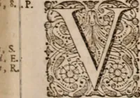 Picture 103 of 293 from Adriani Spigelii Bruxellensis (1645), leaf 272