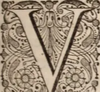 An illustration from Adriani Spigelii Bruxellensis (1645)