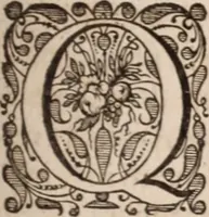 Picture 107 of 293 from Adriani Spigelii Bruxellensis (1645), leaf 288