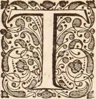 Picture 111 of 293 from Adriani Spigelii Bruxellensis (1645), leaf 295