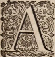Picture 112 of 293 from Adriani Spigelii Bruxellensis (1645), leaf 296