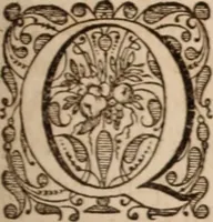 Picture 115 of 293 from Adriani Spigelii Bruxellensis (1645), leaf 302