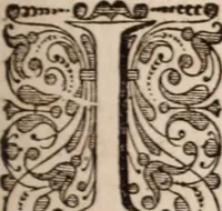 Picture 116 of 293 from Adriani Spigelii Bruxellensis (1645), leaf 306