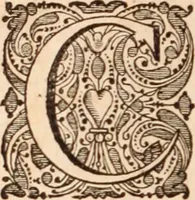 Picture 122 of 293 from Adriani Spigelii Bruxellensis (1645), leaf 317