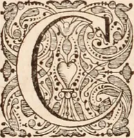 Picture 123 of 293 from Adriani Spigelii Bruxellensis (1645), leaf 319