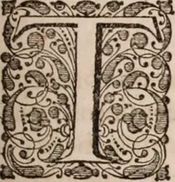 Picture 124 of 293 from Adriani Spigelii Bruxellensis (1645), leaf 320