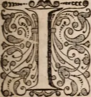Picture 127 of 293 from Adriani Spigelii Bruxellensis (1645), leaf 326