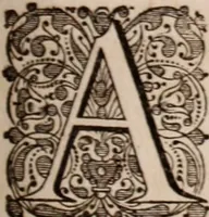 Picture 128 of 293 from Adriani Spigelii Bruxellensis (1645), leaf 328
