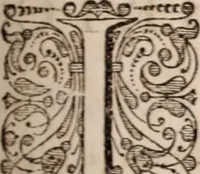 Picture 129 of 293 from Adriani Spigelii Bruxellensis (1645), leaf 330
