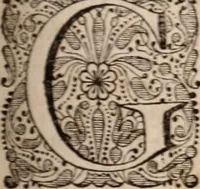 Picture 130 of 293 from Adriani Spigelii Bruxellensis (1645), leaf 330