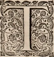 Picture 8 of 293 from Adriani Spigelii Bruxellensis (1645), leaf 34