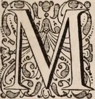 Picture 9 of 293 from Adriani Spigelii Bruxellensis (1645), leaf 34