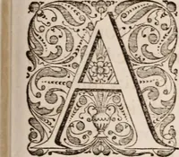 An illustration from Adriani Spigelii Bruxellensis (1645)