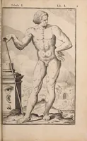 Picture 133 of 293 from Adriani Spigelii Bruxellensis (1645), leaf 352