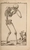 An illustration from Adriani Spigelii Bruxellensis (1645)